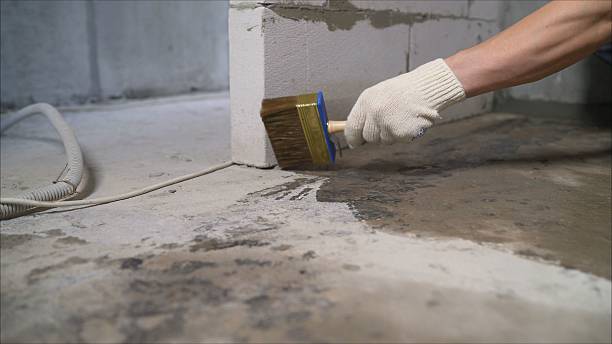 24/7 Emergency Crawl Space Encapsulation experts in Roslyn, PA